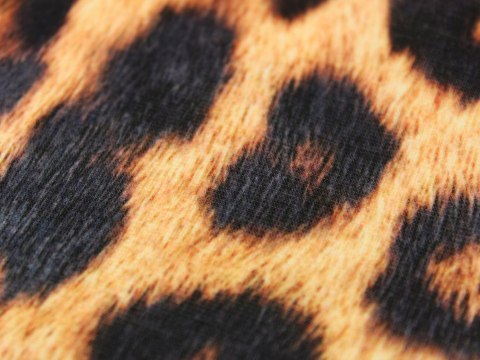 Dzianina PUNTO NYLON wzór panterka brązowa Dzianina PUNTO NYLON wzór panterka brązowa