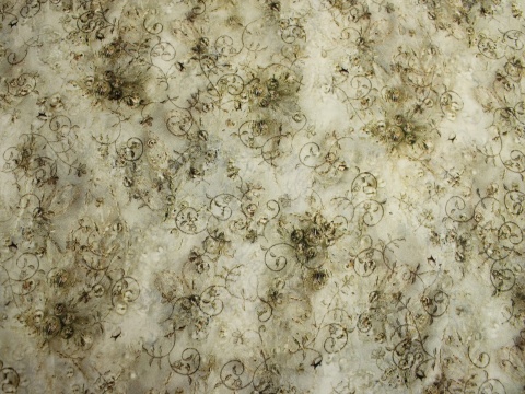 krepa jedwabna wzór drobny na beżu jedwab naturalny 100%